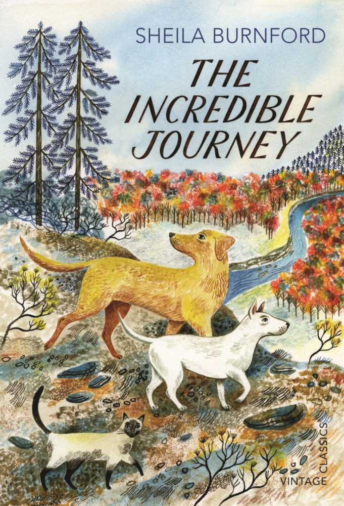 Image of The Incredible Journey